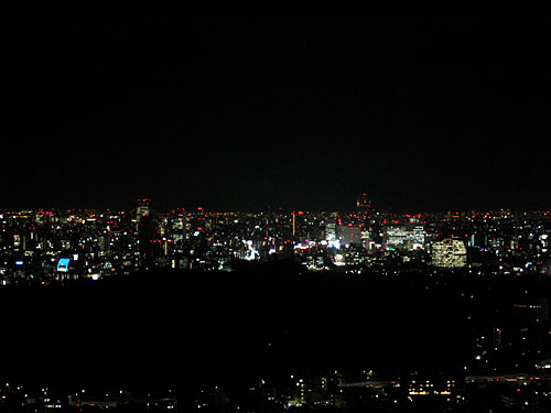 新宿の夜